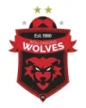 Wollongong Wolves
